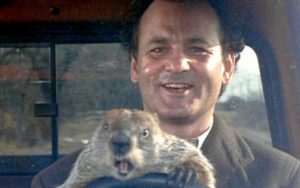 groundhog day bill murray groundhog day bill murray